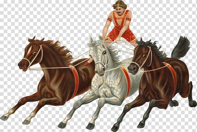 man riding on three horse , Victorian Vintage Horses Carriage transparent background PNG clipart