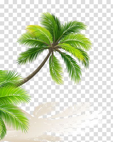 green coconut trees transparent background PNG clipart