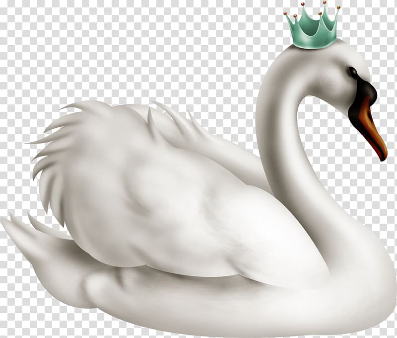 swan , Cygnini Duck The Swan Princess Domestic goose, Goose Crown transparent background PNG clipart