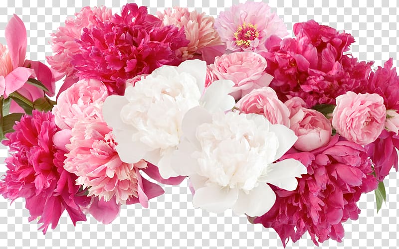Peony Floral design Flower , peony transparent background PNG clipart
