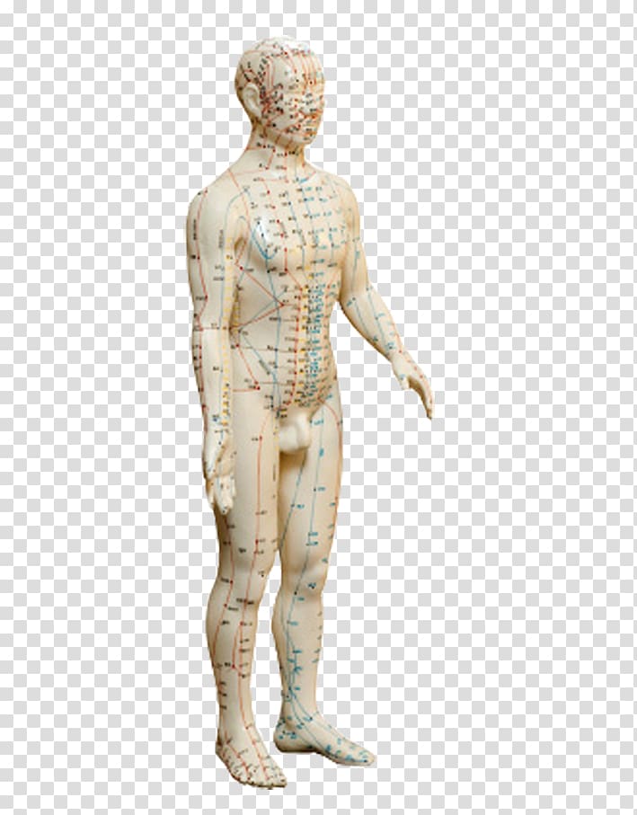 Classical sculpture Homo sapiens Figurine Classicism, Palpitation transparent background PNG clipart