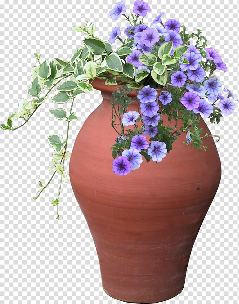 Cut flowers Violet Floral design Plant, violet transparent background PNG clipart