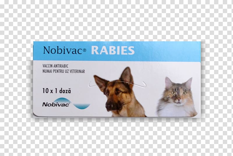 Dog breed Cat Rabies vaccine, Dog transparent background PNG clipart