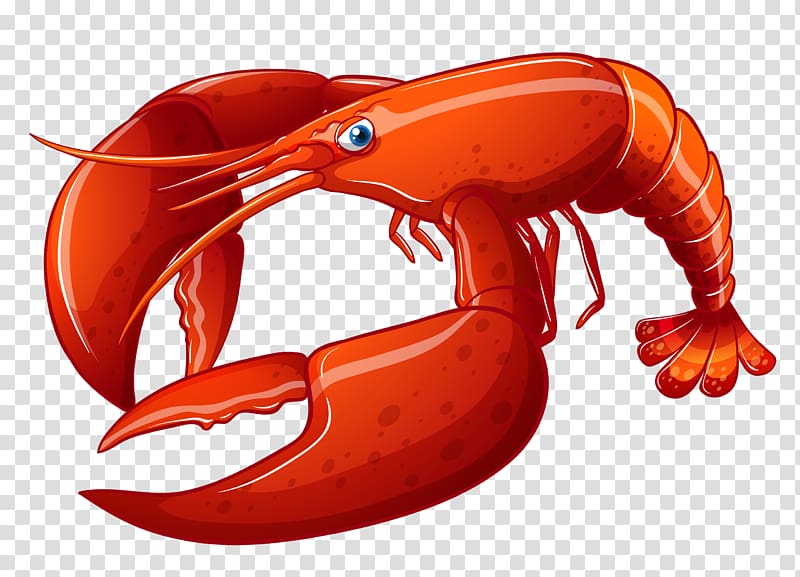 Lobster graphics Illustration, lobster transparent background PNG clipart