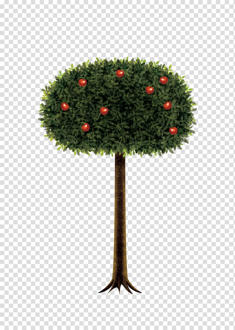 Apples Auglis Tree, An apple tree transparent background PNG clipart