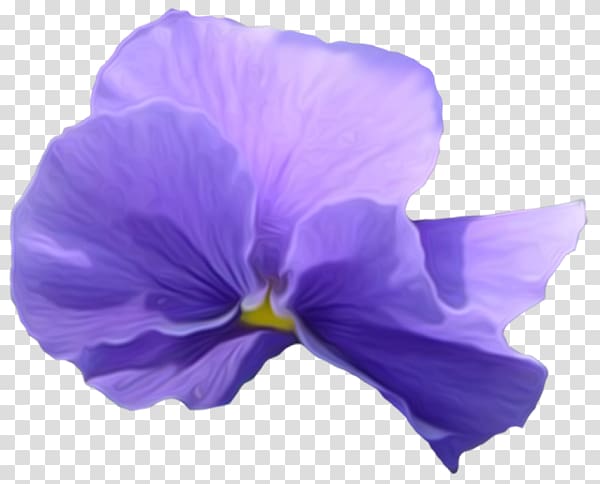 Pansy Violet Flower , violet transparent background PNG clipart