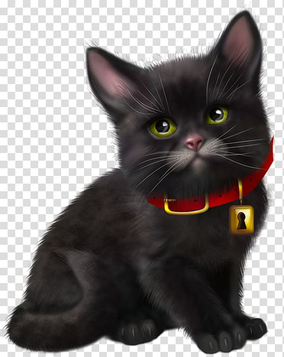 Black cat Kitten Bombay cat American Wirehair Korat, kitten transparent background PNG clipart