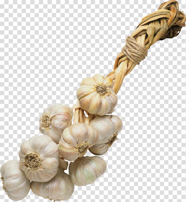 Garlic Ristra de ajos Vegetable Spice, garlic transparent background PNG clipart