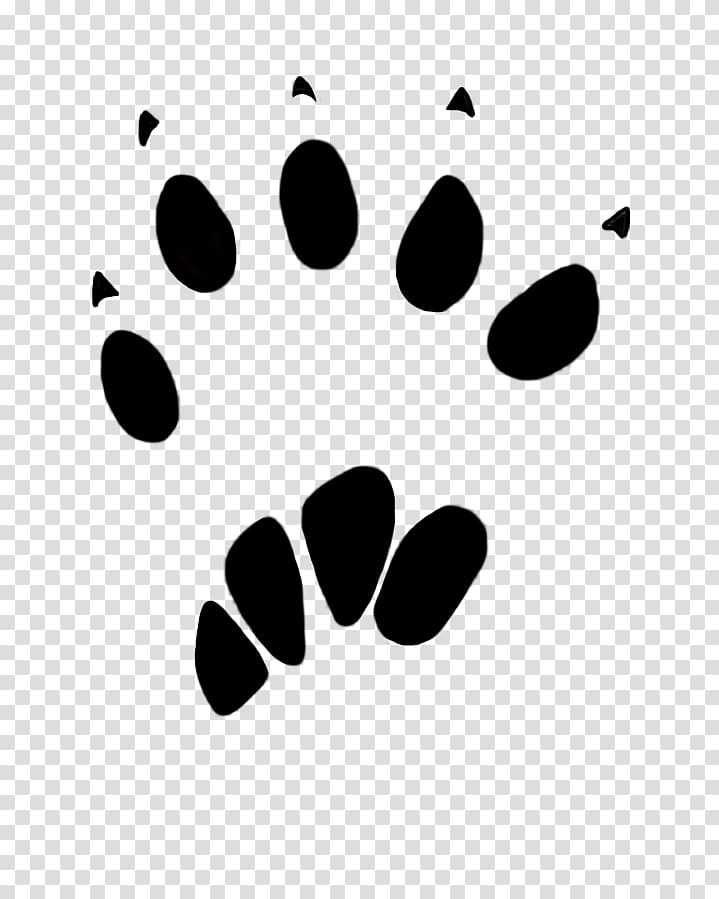 Squirrel Paw Dog Animal track , cat footprints transparent background PNG clipart