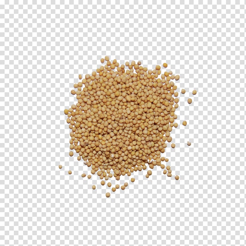 Mustard seed Spice Seasoning Food, seeds transparent background PNG clipart