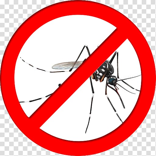 Yellow fever mosquito Insect Mosquito control Fly Zika virus, insect transparent background PNG clipart