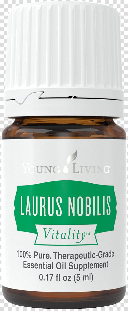 Guacamole Young Living Essential oil Lime, Laurus nobilis transparent background PNG clipart