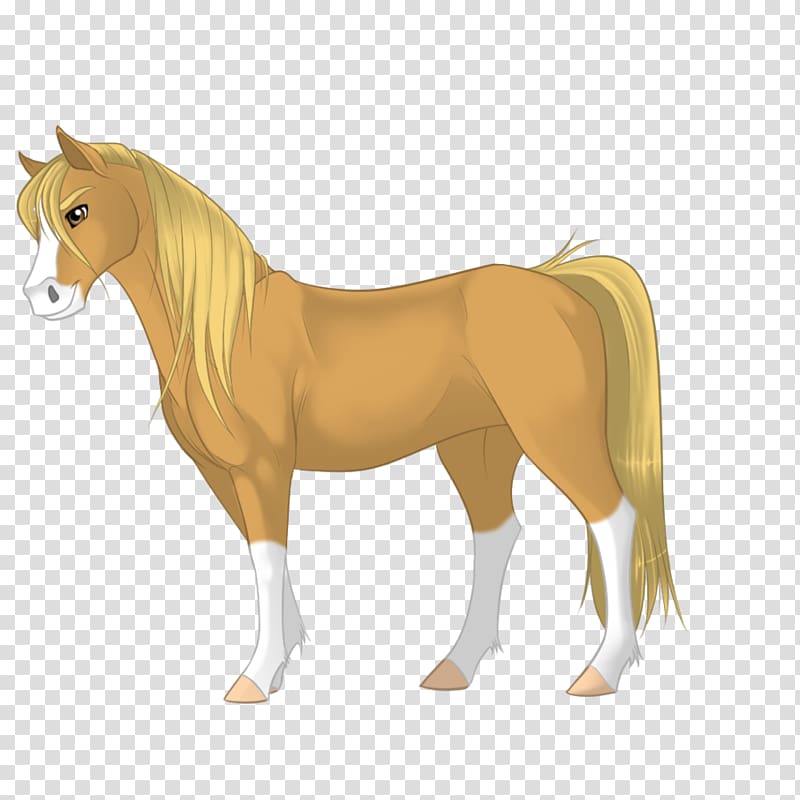 Mane Morgan horse Mustang Pony Stallion, mustang transparent background PNG clipart
