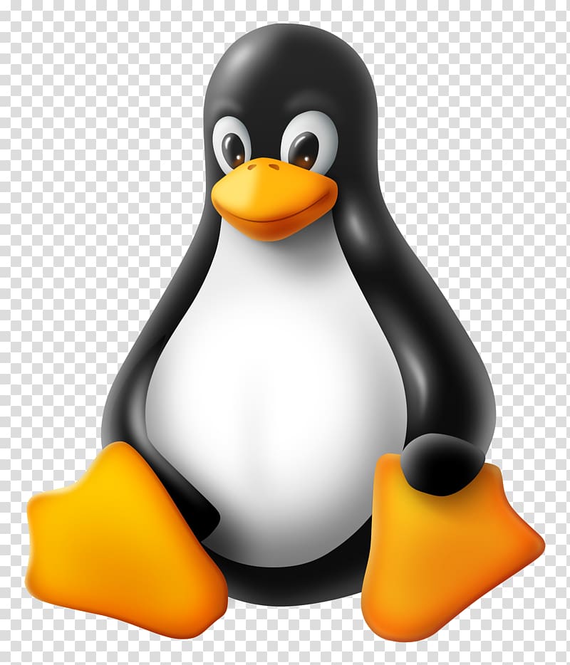 black and white penguin , Tux Racer T-shirt Linux kernel, linux transparent background PNG clipart