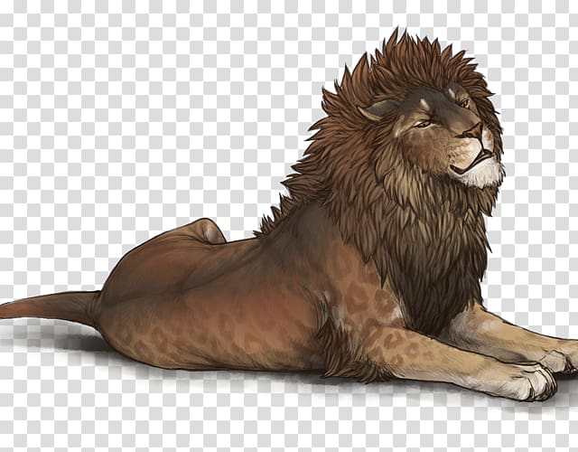 Lion Felidae Big cat Mane, lion transparent background PNG clipart