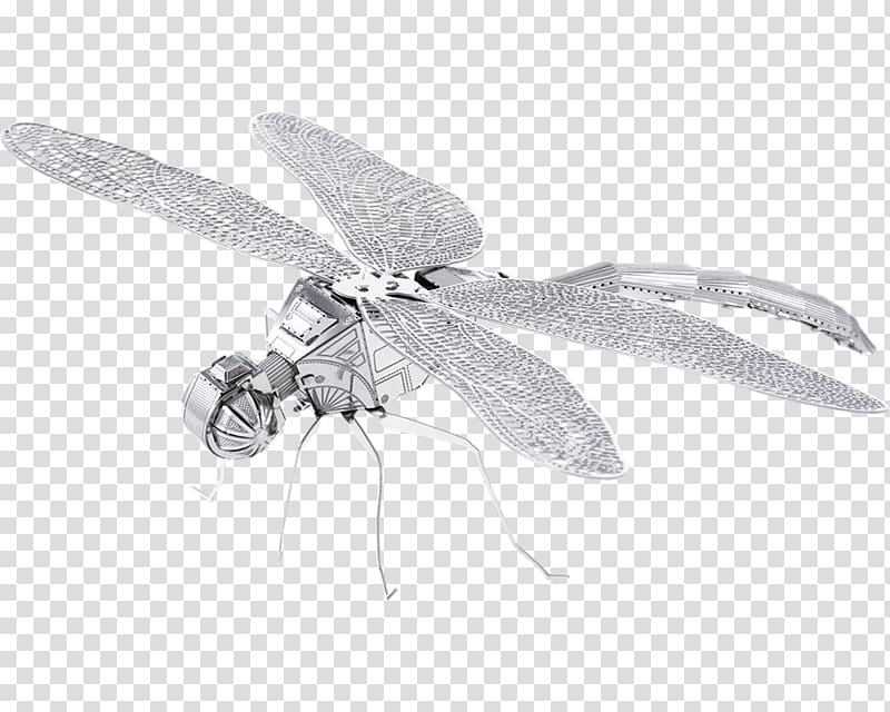 Model kit Metal Earth Dragonfly Sheet metal Beetle, dragonfly transparent background PNG clipart
