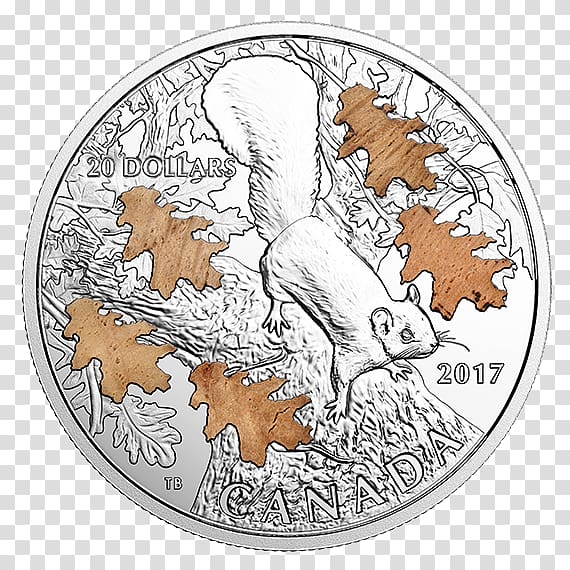 Coin Eastern gray squirrel Royal Canadian Mint Canada, Coin transparent background PNG clipart