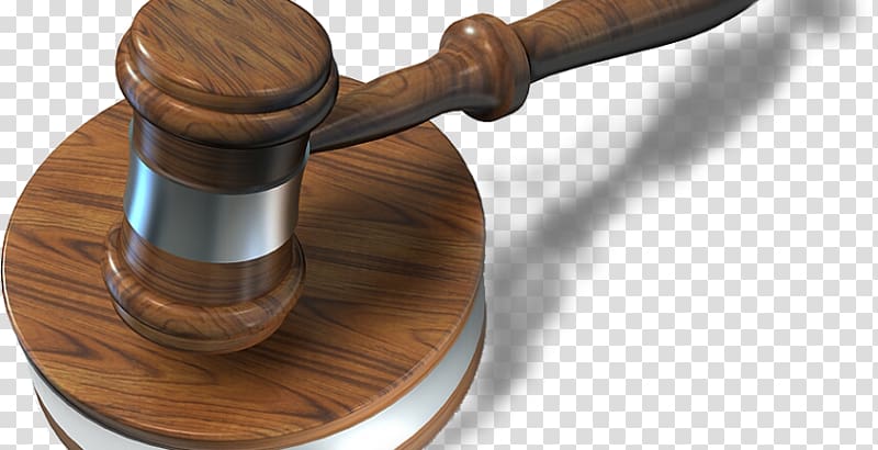 Judge Court Lawyer Criminal law, cyber crime transparent background PNG clipart