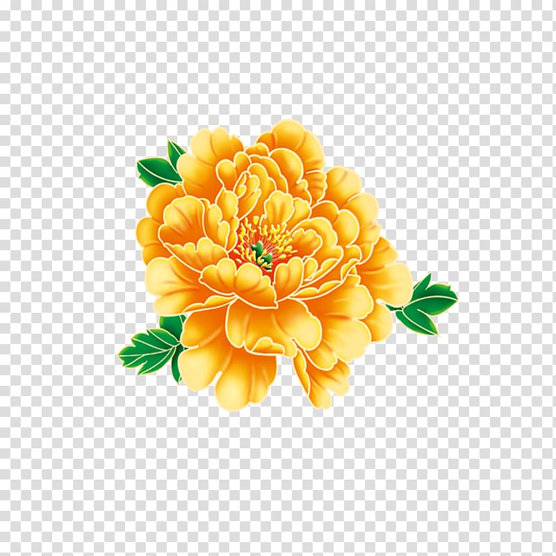 Flower, peony transparent background PNG clipart