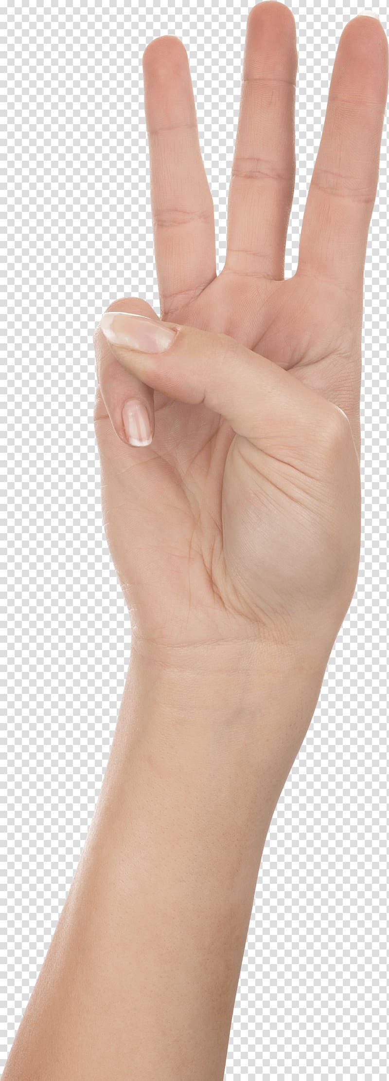 Thumb Hand Upper limb Gesture, Three Finger Hand Hands Hand transparent background PNG clipart