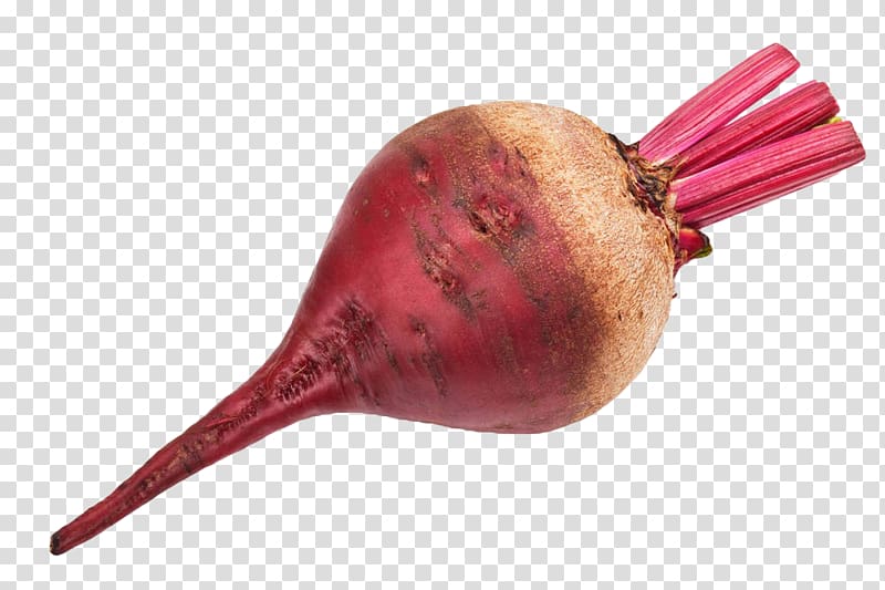 Beetroot Chard Vegetable Tomato , Purple beet head transparent background PNG clipart