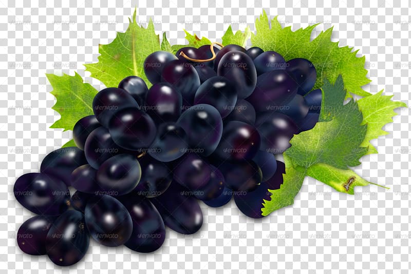 Sultana Zante currant Grapevines Seedless fruit, grape transparent background PNG clipart