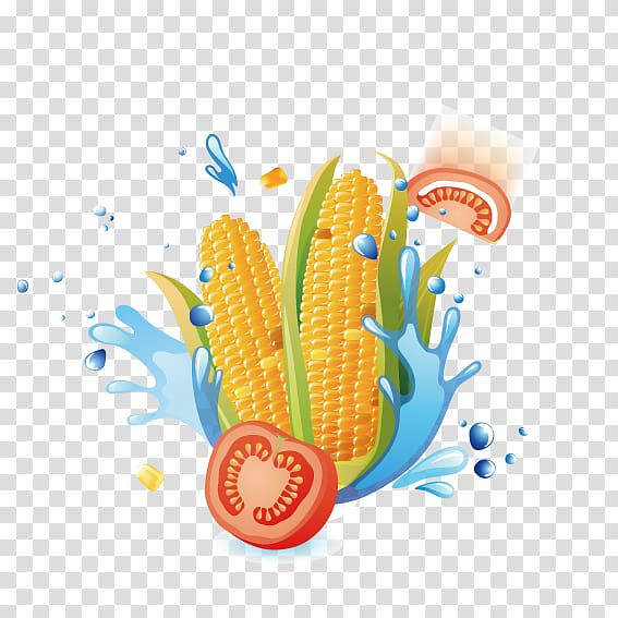 Vegetable Auglis Illustration, Corn Tomato water droplets transparent background PNG clipart