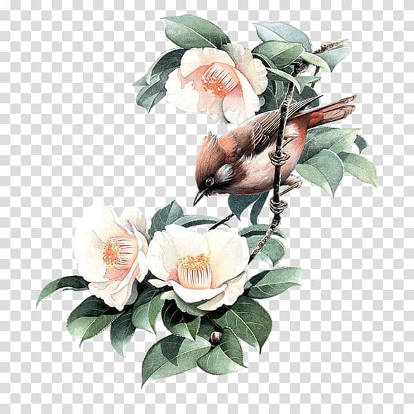 Bird-and-flower painting Bird-and-flower painting Garden roses, Bird transparent background PNG clipart