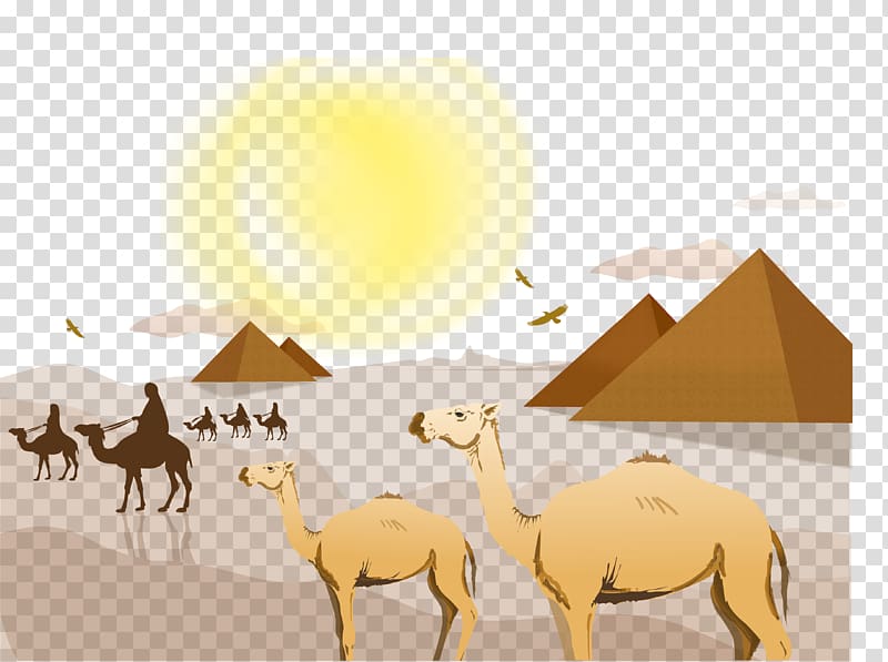 camels near pyramids , Sahara Desert Landscape Euclidean , camel transparent background PNG clipart