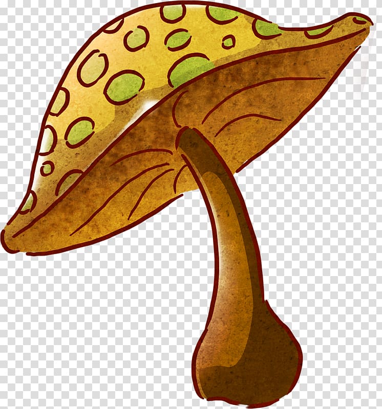 Common mushroom Drawing Color , mushroom transparent background PNG clipart