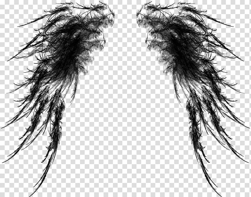 Крылья: избранное Sticker /m/02csf Bird Eye, Buffalo Wings transparent background PNG clipart