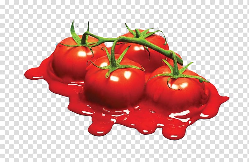 Calgary Farmers Market Advertising agency, Melted tomatoes transparent background PNG clipart