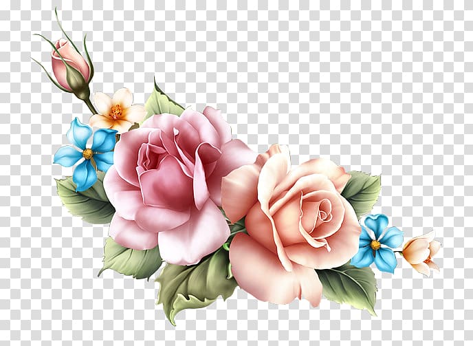 Garden roses Floral design Flower bouquet Greeting & Note Cards, flower transparent background PNG clipart