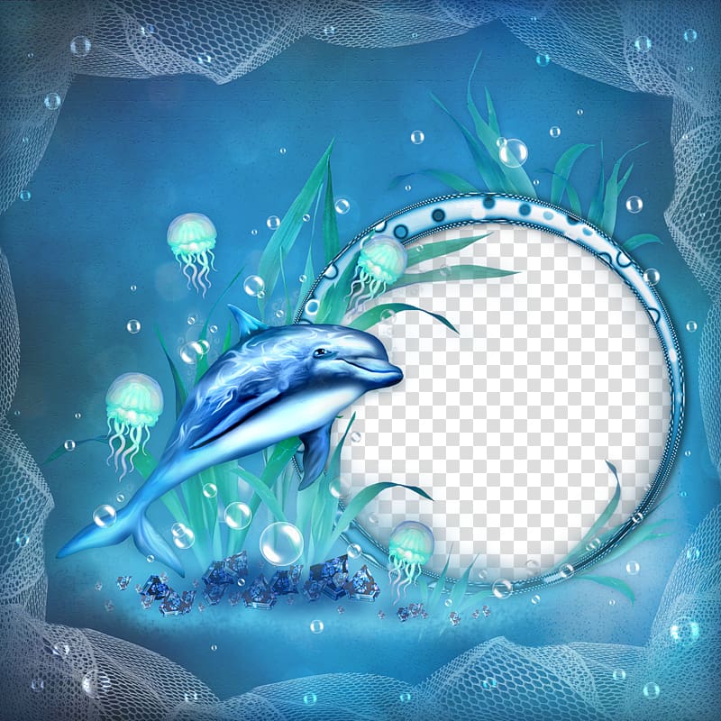 Frames Dolphin Sea , sea transparent background PNG clipart