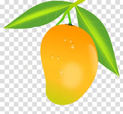 Mango transparent background PNG clipart