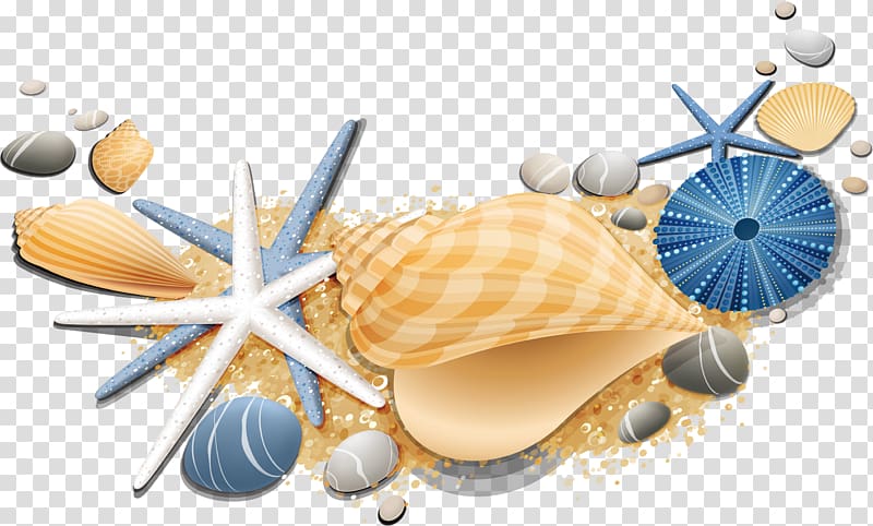 white and blue starfish and shell , Seashell Starfish Conch, starfish transparent background PNG clipart