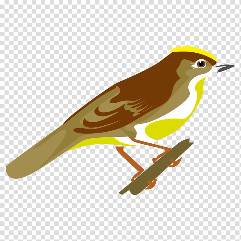 Old World orioles Finches Common nightingale Beak, feather transparent background PNG clipart