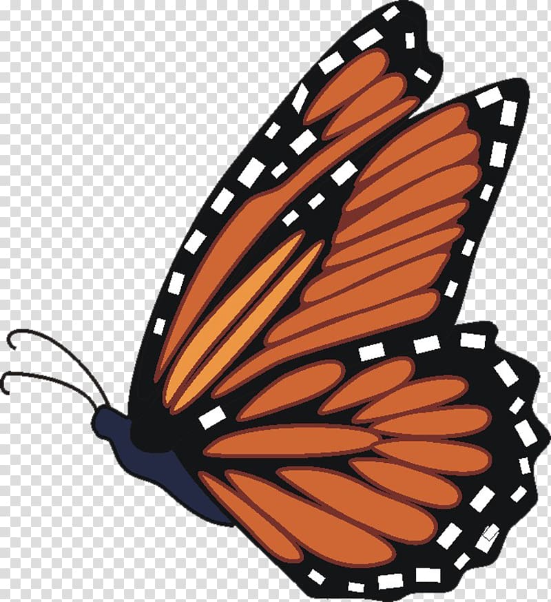Monarch butterfly , Cartoon Monarch Butterfly transparent background PNG clipart