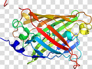 Line Point Organism , line transparent background PNG clipart thumbnail