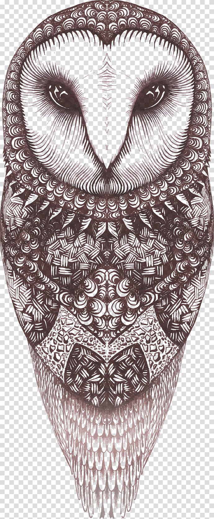 Owl Euclidean , Owl transparent background PNG clipart