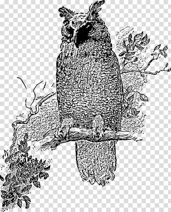 Great Horned Owl Bird , owl transparent background PNG clipart