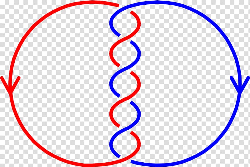Linking number Curve Knot theory Mathematics, number one transparent background PNG clipart