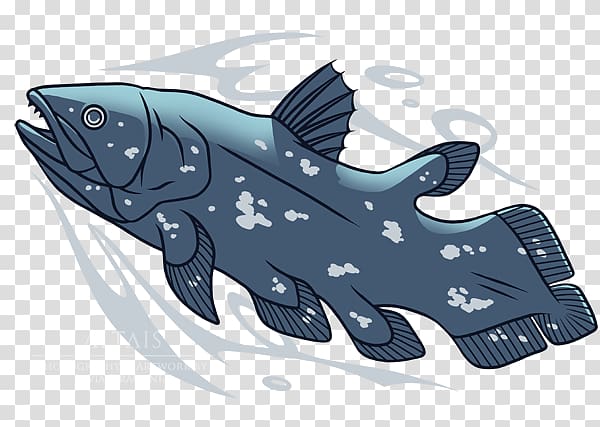 Shark Porpoise Cartoon, shark transparent background PNG clipart