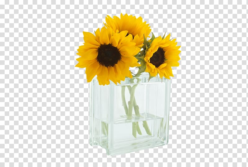Morning Good Wish, sunflowers transparent background PNG clipart