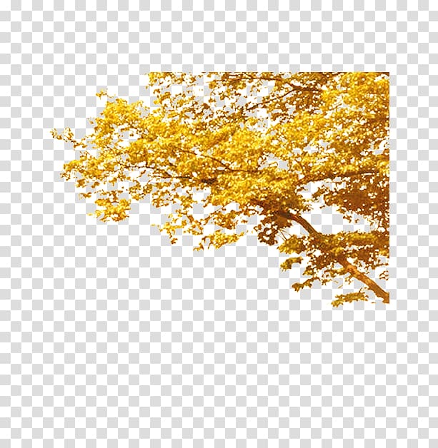 Tree Autumn Deciduous Computer file, Yellow autumn tree transparent background PNG clipart