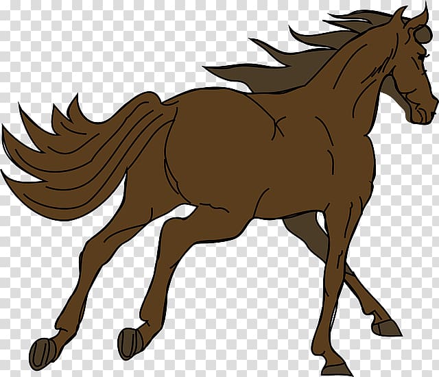 American Quarter Horse Foal Clydesdale horse Mustang Stallion, gallop transparent background PNG clipart