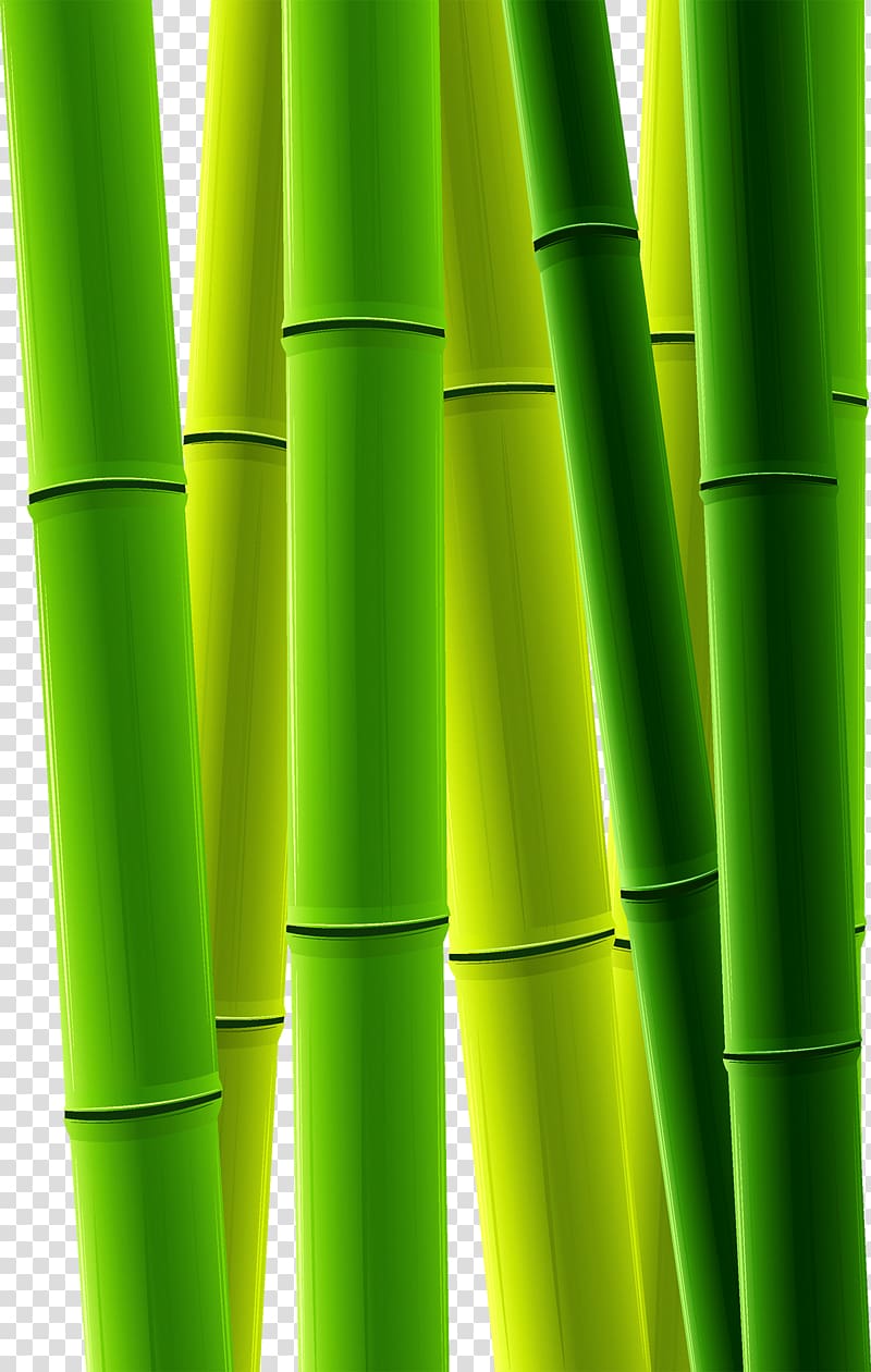 Bamboo Bamboe , Green Bamboo transparent background PNG clipart