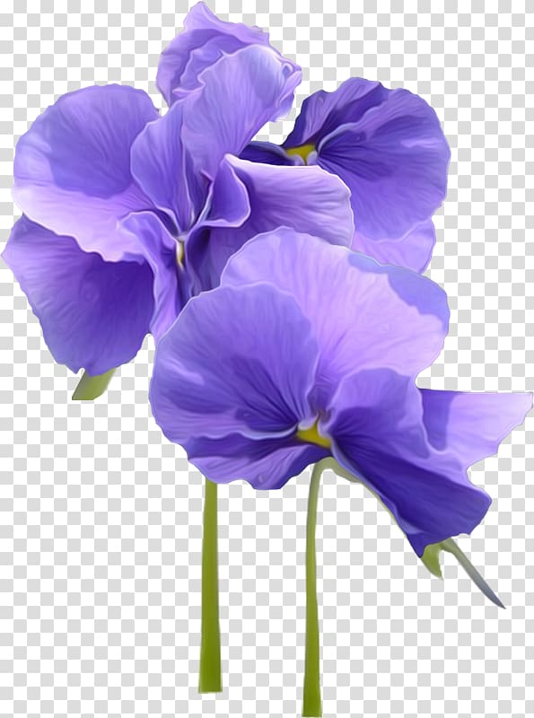 Violet Parr Flower Pansy, violet transparent background PNG clipart
