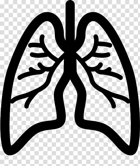 Lung cancer Eddie Kaspbrak Respiratory disease Mesothelioma, others transparent background PNG clipart