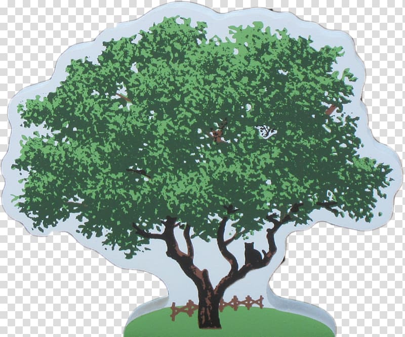 Tree Oak Sageretia theezans Shrub Cat, tree transparent background PNG clipart